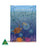 Creatures from Sea Country Big Book