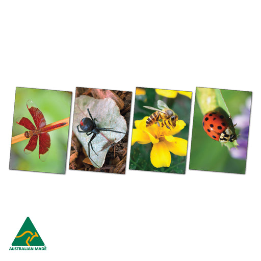 Garden Bugs Poster Pack