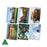 Houses around the World Poster Kit
