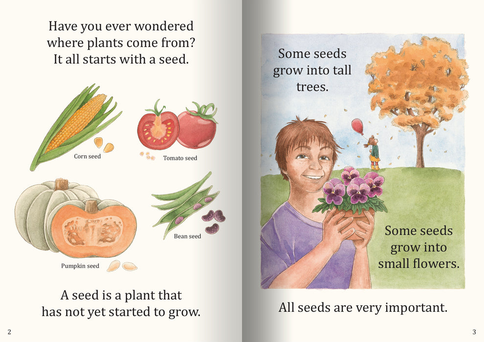 How Seeds Grow Big Book