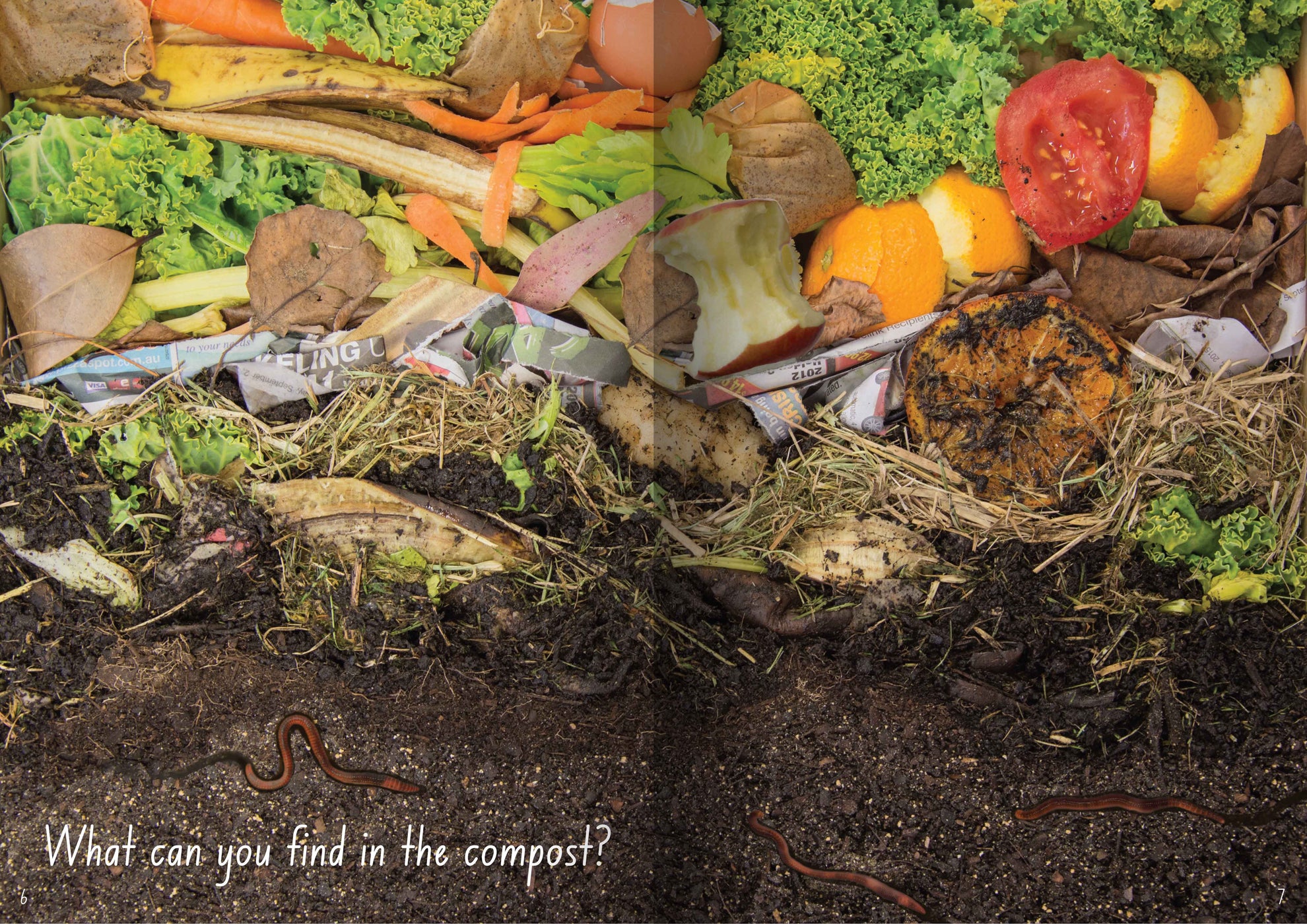 Let' s Learn about Compost Big Book — Oz Publishing