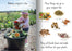 Let' s Learn about Compost Big Book