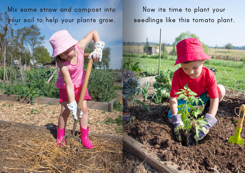 Let's Learn about Vegetable Gardens Big Book