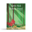 Little Red Riding Hood Fairy Tale Big Book
