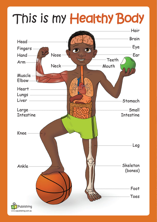 This is my healthy body Big Book with FREE Large anatomy poster!