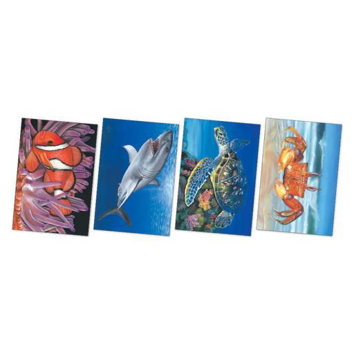 Large Sea Creatures Poster Pack